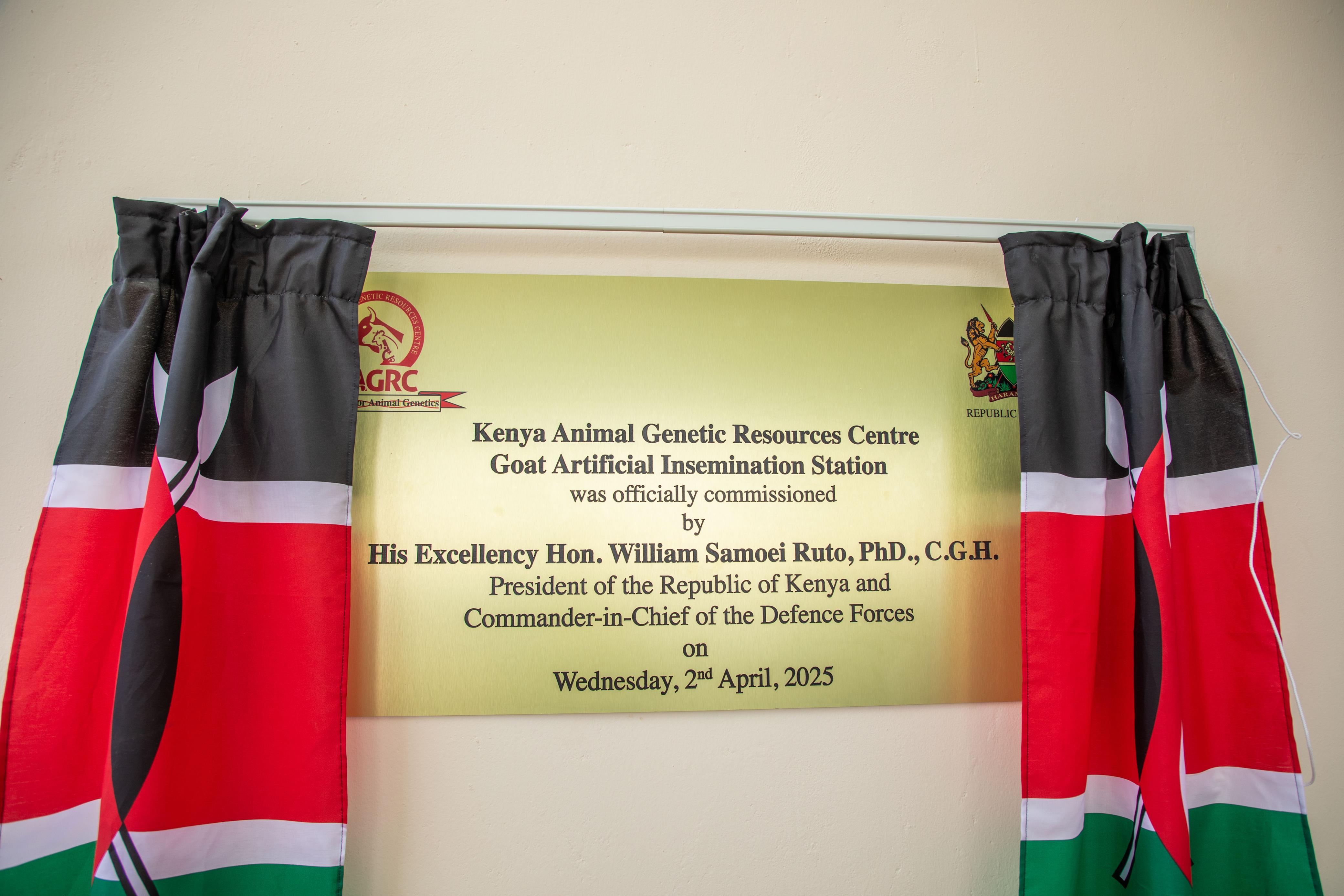 Commissioning of Goat AI-Kutus