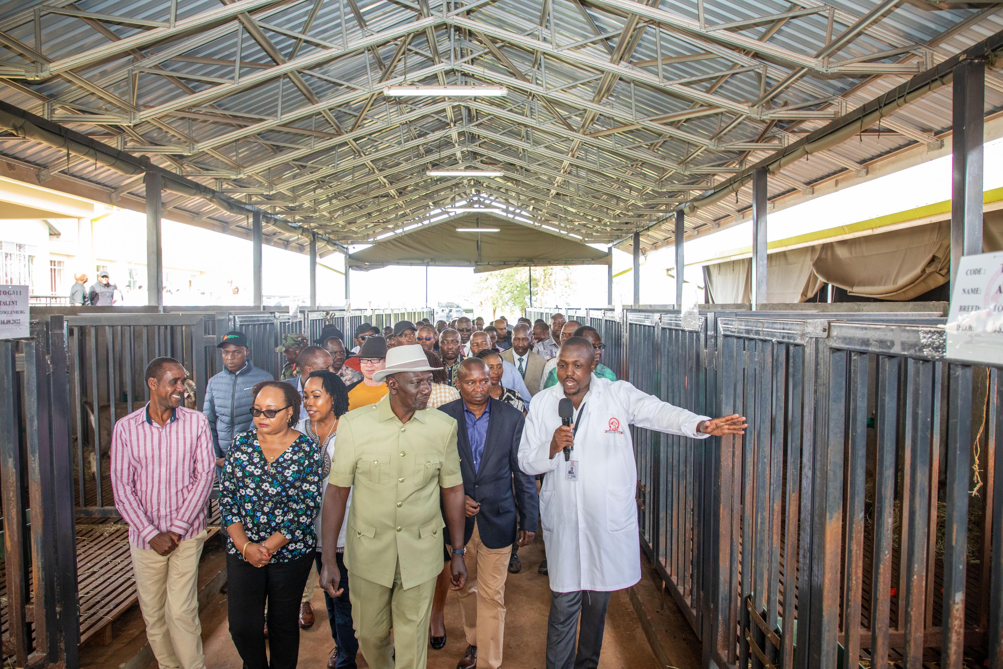 Goat AI Centre New Phase