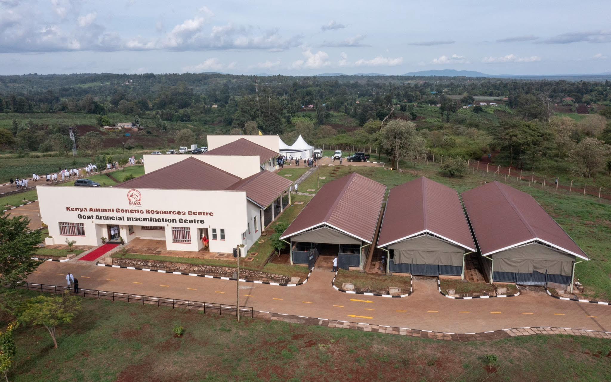 Goat AI Centre-Kutus